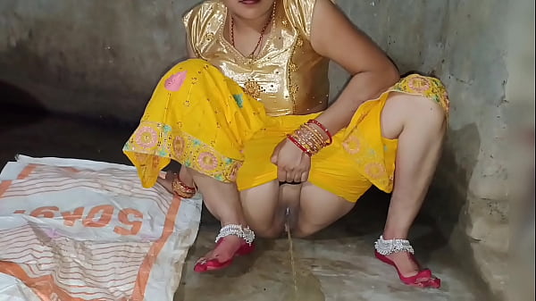 भारतीय मॉडल भाभी और देवर की गर्मजोशी से भरी हिंदी आवाज में चुदाई